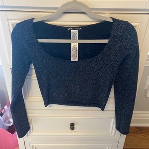 Zara long sleeve glitter crop top